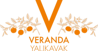 vy-logo.png